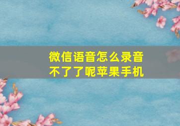 微信语音怎么录音不了了呢苹果手机