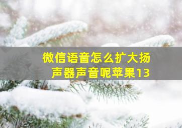 微信语音怎么扩大扬声器声音呢苹果13