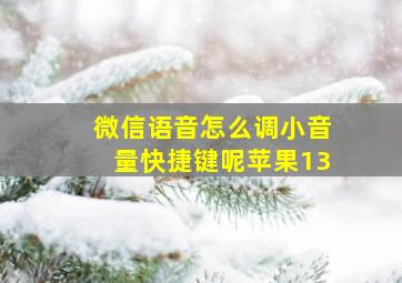 微信语音怎么调小音量快捷键呢苹果13