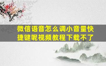 微信语音怎么调小音量快捷键呢视频教程下载不了