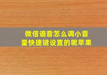 微信语音怎么调小音量快捷键设置的呢苹果