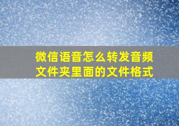 微信语音怎么转发音频文件夹里面的文件格式