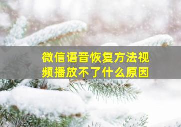 微信语音恢复方法视频播放不了什么原因