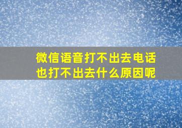 微信语音打不出去电话也打不出去什么原因呢