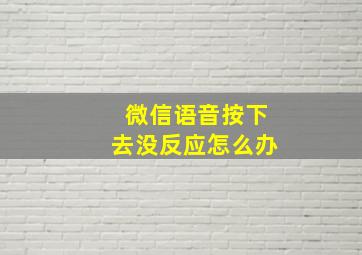 微信语音按下去没反应怎么办