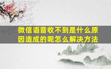 微信语音收不到是什么原因造成的呢怎么解决方法