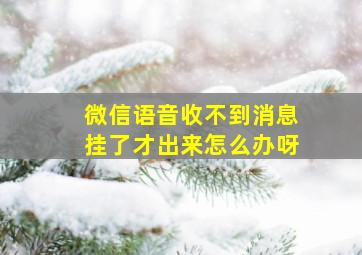 微信语音收不到消息挂了才出来怎么办呀