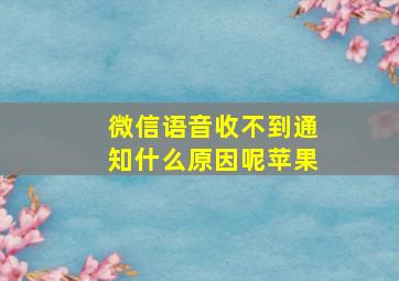 微信语音收不到通知什么原因呢苹果