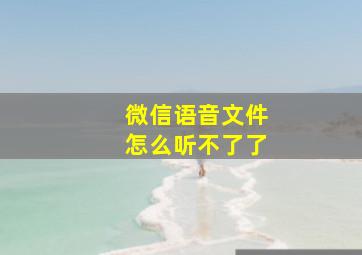 微信语音文件怎么听不了了