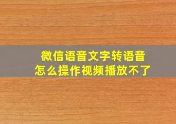 微信语音文字转语音怎么操作视频播放不了