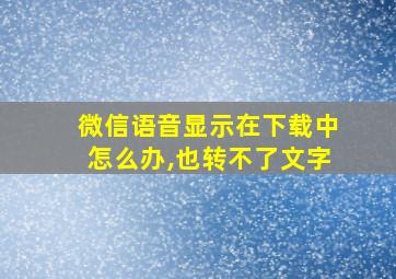 微信语音显示在下载中怎么办,也转不了文字