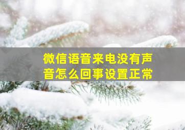 微信语音来电没有声音怎么回事设置正常