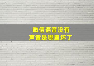 微信语音没有声音是哪里坏了