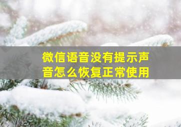 微信语音没有提示声音怎么恢复正常使用