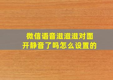 微信语音滋滋滋对面开静音了吗怎么设置的