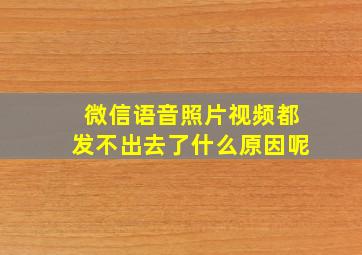 微信语音照片视频都发不出去了什么原因呢