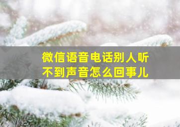 微信语音电话别人听不到声音怎么回事儿