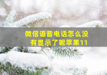 微信语音电话怎么没有显示了呢苹果11