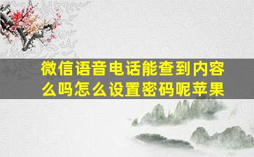 微信语音电话能查到内容么吗怎么设置密码呢苹果