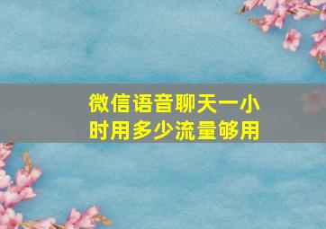 微信语音聊天一小时用多少流量够用