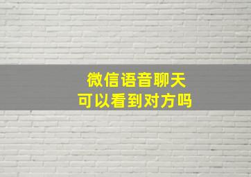 微信语音聊天可以看到对方吗