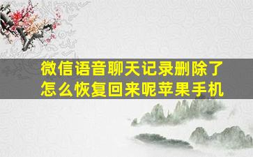 微信语音聊天记录删除了怎么恢复回来呢苹果手机