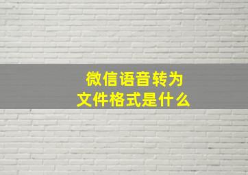 微信语音转为文件格式是什么