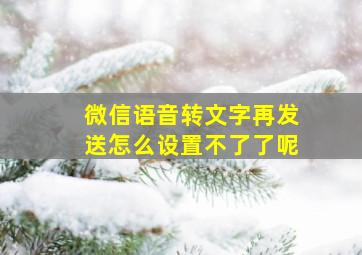 微信语音转文字再发送怎么设置不了了呢