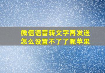 微信语音转文字再发送怎么设置不了了呢苹果