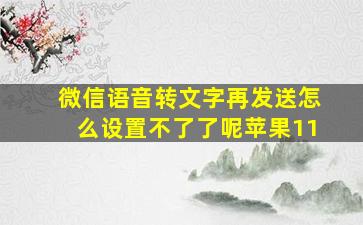 微信语音转文字再发送怎么设置不了了呢苹果11