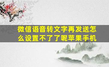 微信语音转文字再发送怎么设置不了了呢苹果手机