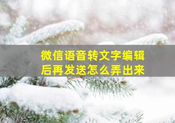 微信语音转文字编辑后再发送怎么弄出来