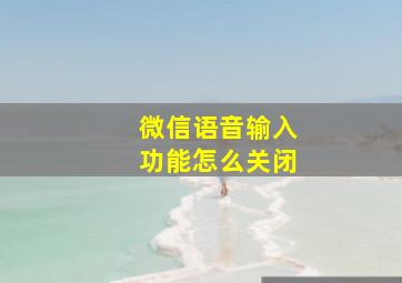 微信语音输入功能怎么关闭