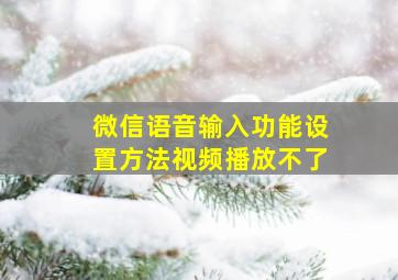 微信语音输入功能设置方法视频播放不了