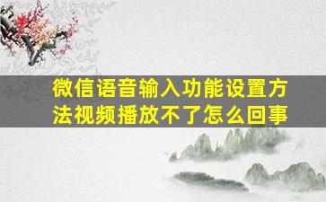 微信语音输入功能设置方法视频播放不了怎么回事