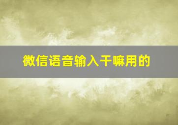 微信语音输入干嘛用的