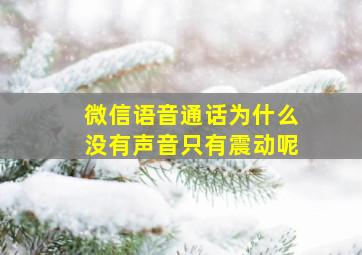 微信语音通话为什么没有声音只有震动呢