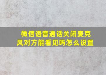 微信语音通话关闭麦克风对方能看见吗怎么设置