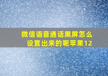 微信语音通话黑屏怎么设置出来的呢苹果12