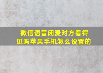 微信语音闭麦对方看得见吗苹果手机怎么设置的