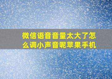 微信语音音量太大了怎么调小声音呢苹果手机