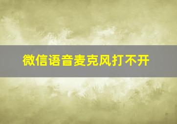 微信语音麦克风打不开