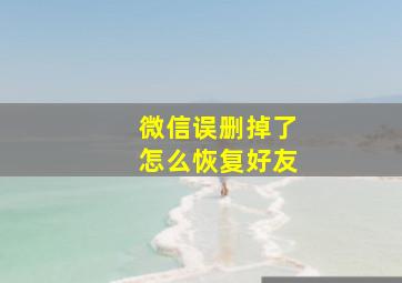 微信误删掉了怎么恢复好友