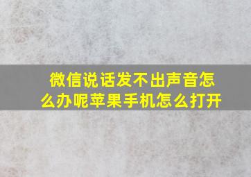 微信说话发不出声音怎么办呢苹果手机怎么打开