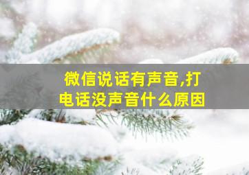 微信说话有声音,打电话没声音什么原因