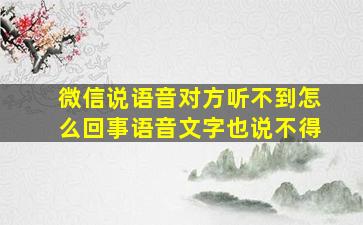 微信说语音对方听不到怎么回事语音文字也说不得