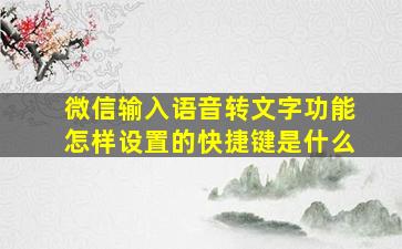 微信输入语音转文字功能怎样设置的快捷键是什么