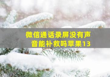 微信通话录屏没有声音能补救吗苹果13