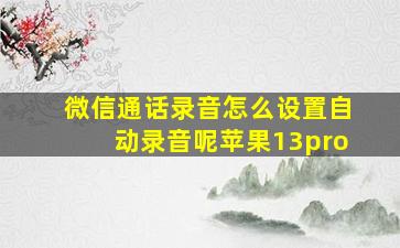 微信通话录音怎么设置自动录音呢苹果13pro