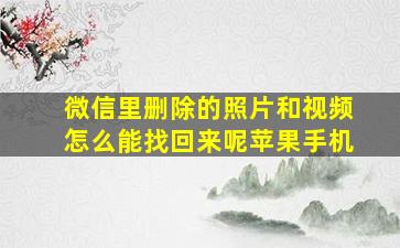 微信里删除的照片和视频怎么能找回来呢苹果手机